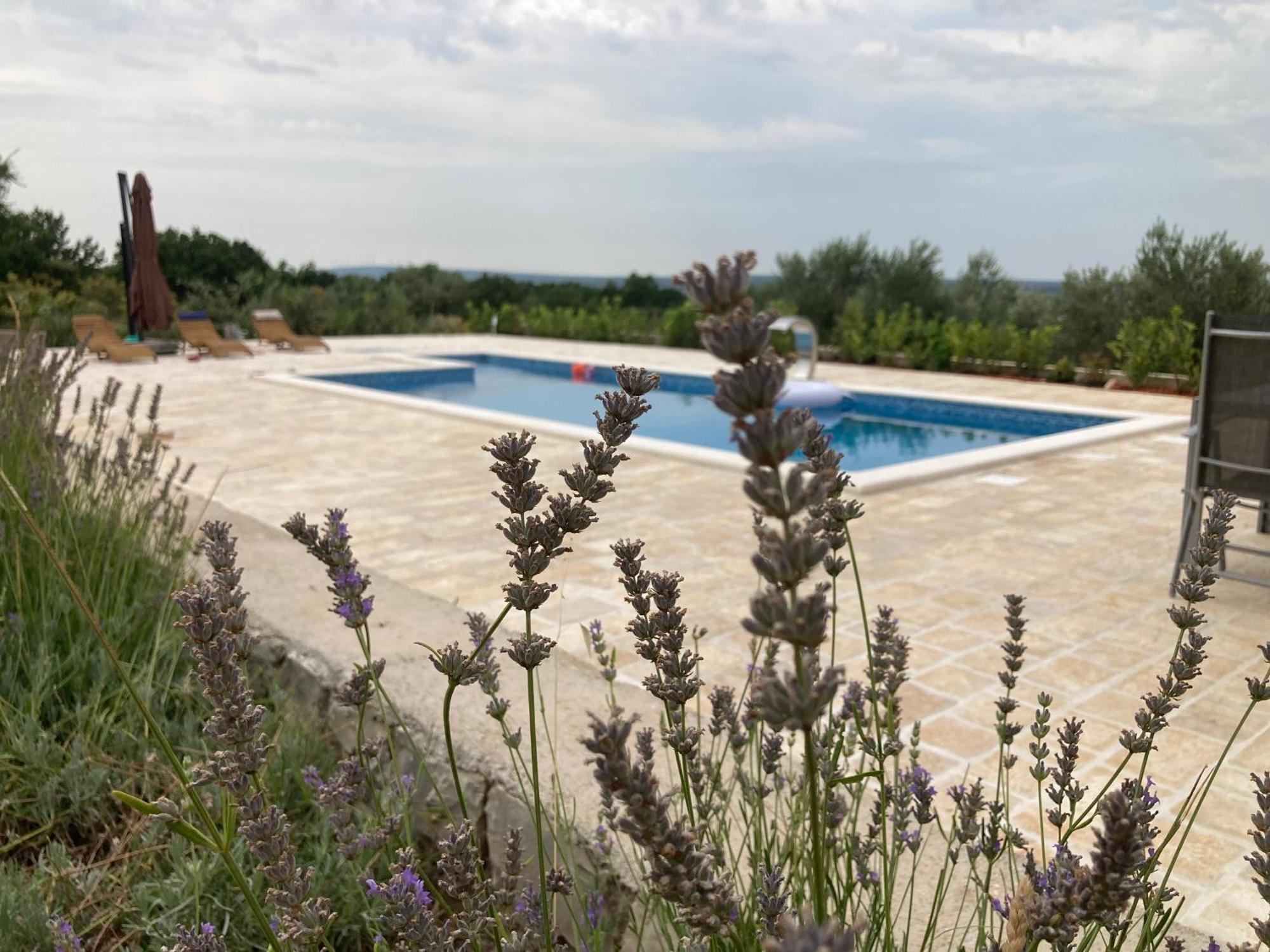 Villa Doci Zadar Bagian luar foto